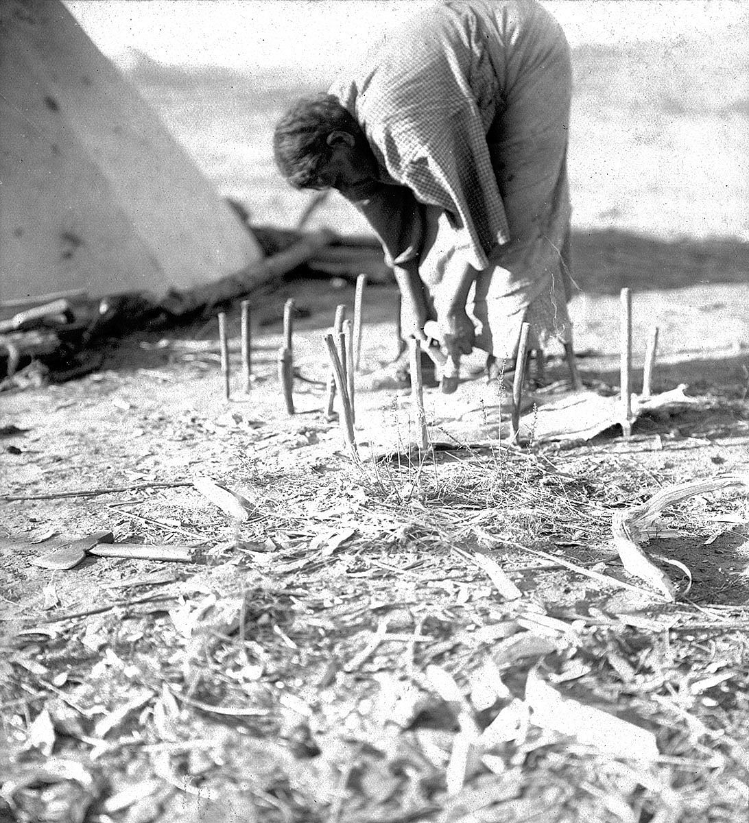Northern Cheyenne woman scraping staked-out hide next to tipi, ca. 1902-1911. MS 37 George Bird Grinnell Indian Photographs Collection. P.37.1.7
