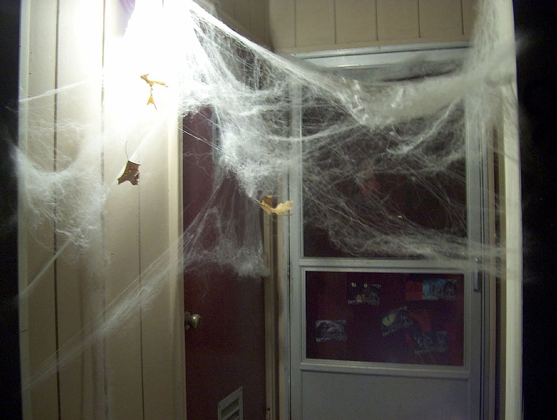 Front door with fake cobwebs to demonstrate a dangerous decoration for birds.