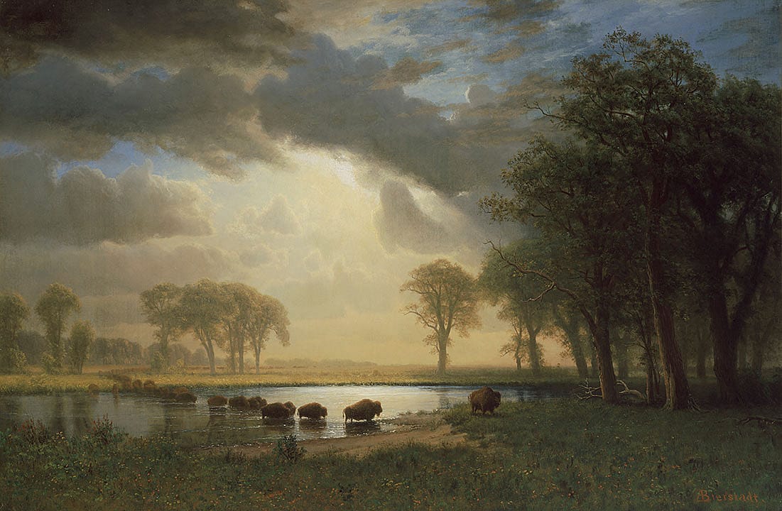Albert Bierstadt (American, born Germany, 1830–1902). The Buffalo Trail, 1867. Oil on canvas, 31.875 x 48 inches. Museum of Fine Arts, Boston, Massachusetts. Gift of Martha C. Karolik for the M. and M. Karolik Collection of American Paintings, 1815–1865. 47.1268