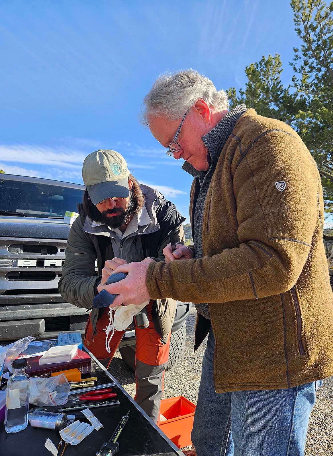 Two researchers banding pinyon jays.