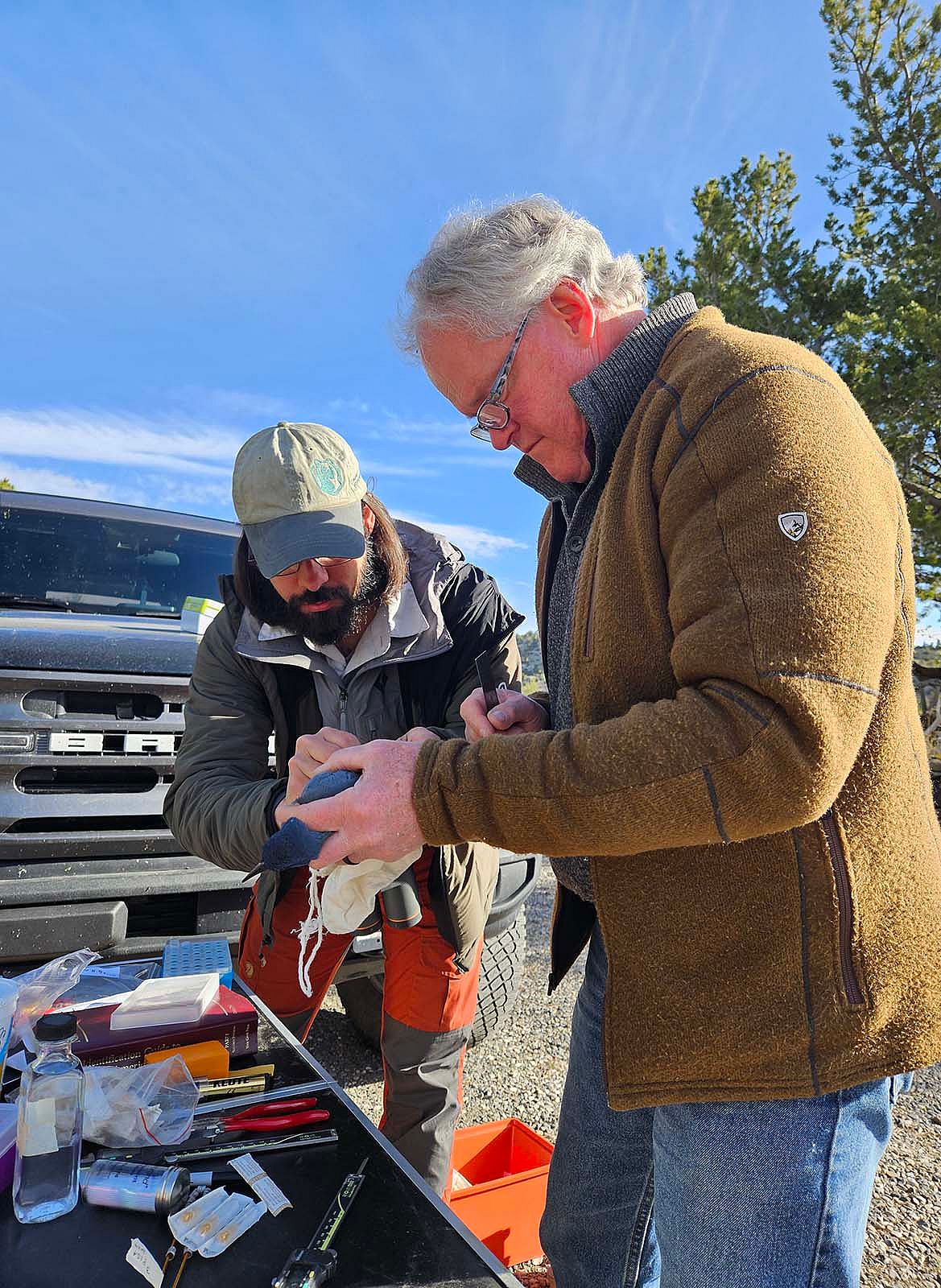 Two researchers banding pinyon jays.