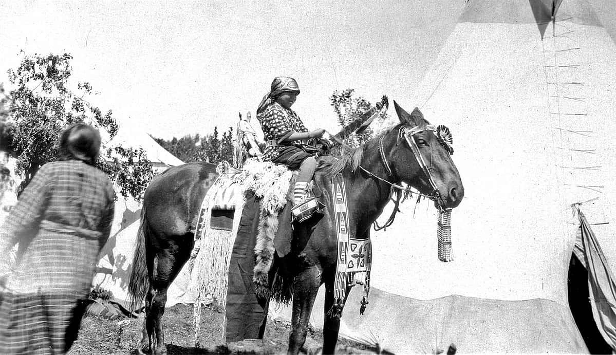 Absaroke (Crow) girl on horse at Crow Fair. Photo by W.H.D. Koerner, 1927. P.78.4463