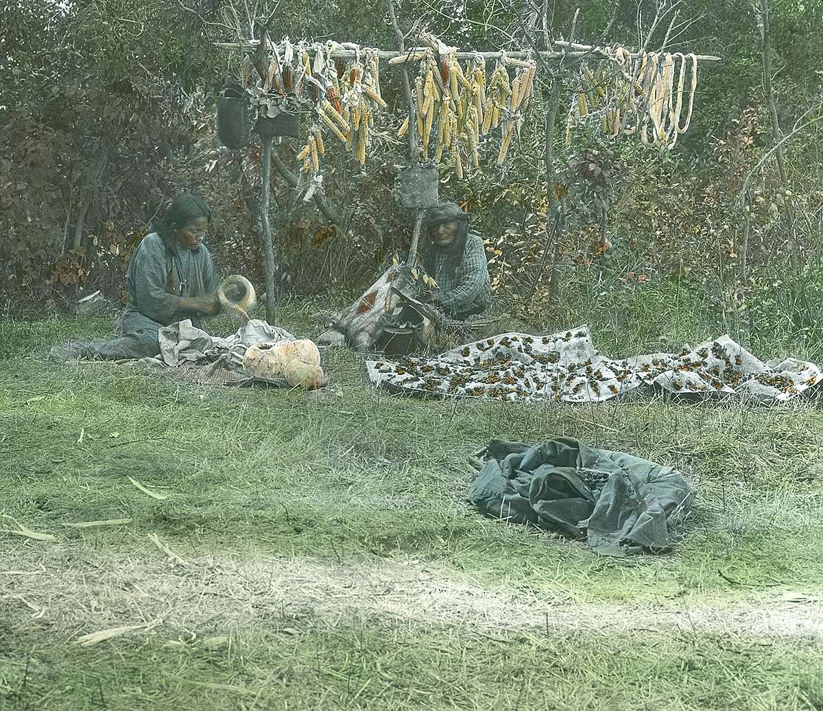 Hanging corn and sliced squash on a spit for drying. Squash was harvested in late July, just before the green corn harvest, ca. 1903-1925. MS 95 William A. Petzoldt Lantern Slide Collection. LS.95.79
