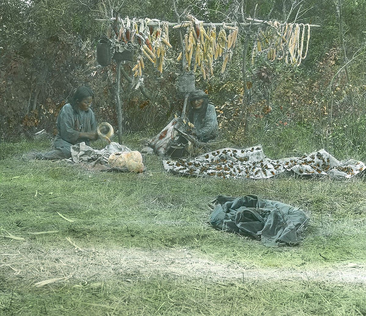 Hanging corn and sliced squash on a spit for drying. Squash was harvested in late July, just before the green corn harvest, ca. 1903-1925. MS 95 William A. Petzoldt Lantern Slide Collection. LS.95.79