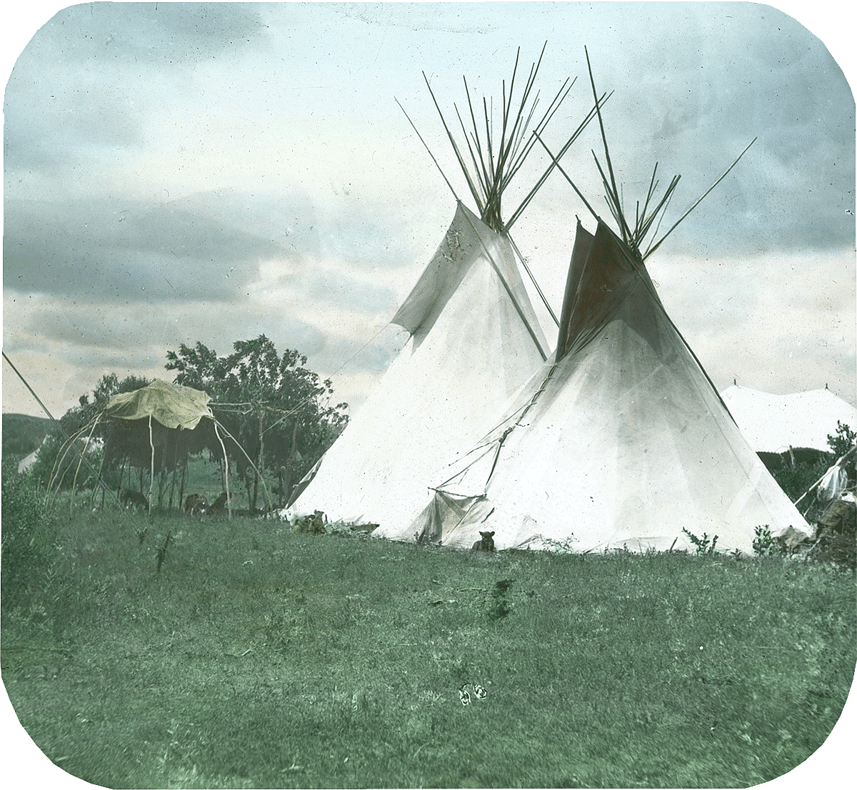 Tipis with what appears to be a sweat lodge beside them, ca. 1903-1925. MS 95 William A. Petzoldt Lantern Slide Collection. LS.95.229