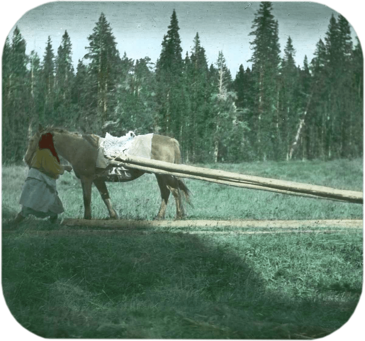 Pretty Enemy beside horse dragging tipi poles in Bighorn Mountains, ca. 1903-1925. MS 95 William A. Petzoldt Lantern Slide Collection. LS.95.213