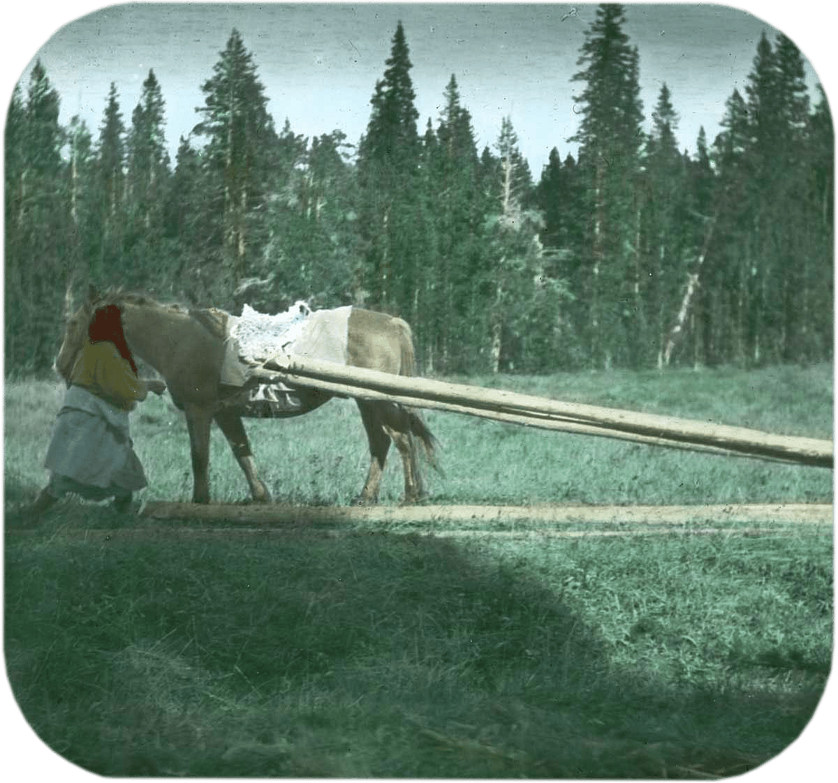 Pretty Enemy beside horse dragging tipi poles in Bighorn Mountains, ca. 1903-1925. MS 95 William A. Petzoldt Lantern Slide Collection. LS.95.213