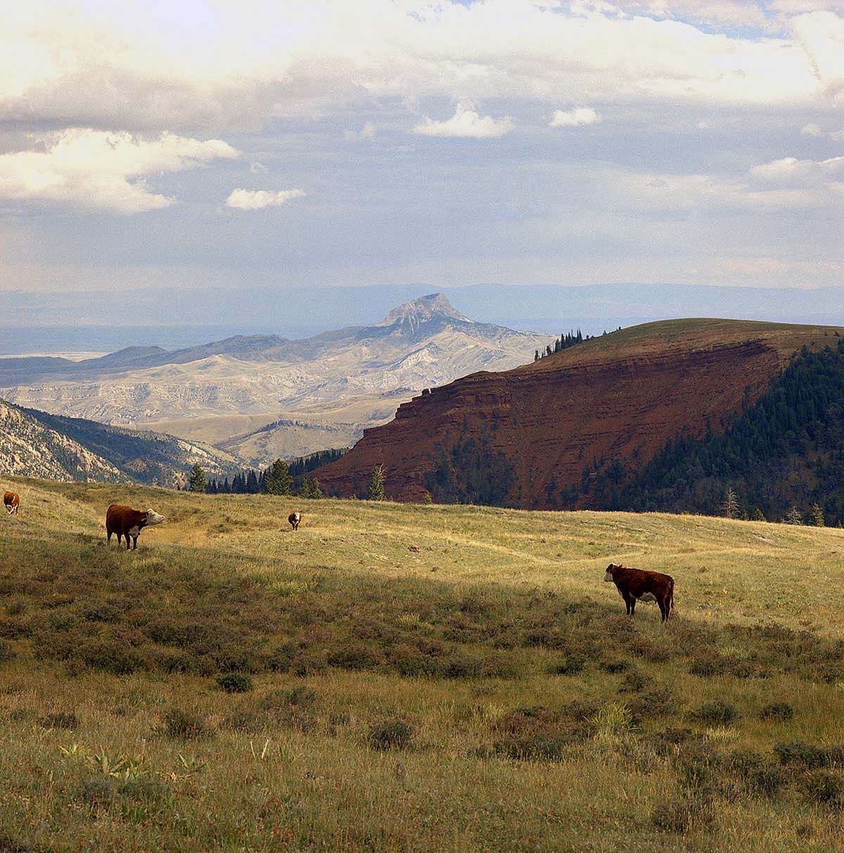 Heart Mountain from Rattlesnake Mountain to the west, September 9, 1972. MS 089 Jack Richard Photograph Collection, McCracken Research Library. PN.89.62.11561.01