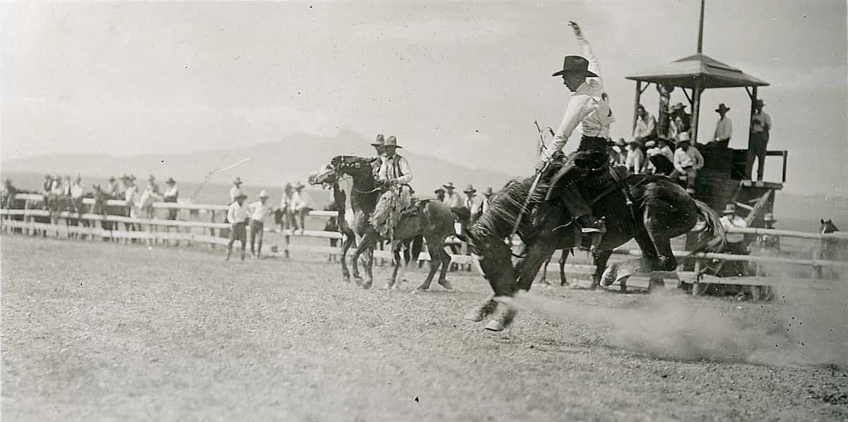 Larry Redman on "Headlight," Cody Stampede, ca. 1925. Photo courtesy the Park County Archives. P17-17-307