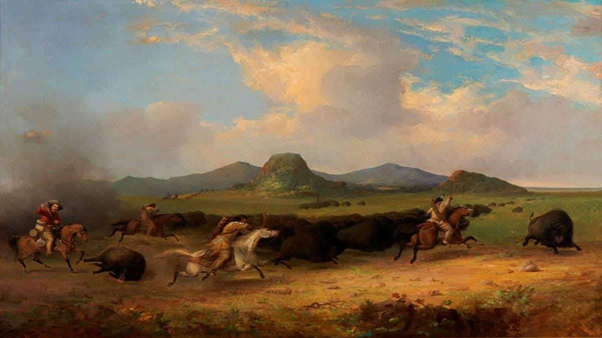 Buffalo Hunt, 1854. Oil on canvas, 39 x 61.5 in. Collection of Gilcrease Museum, Tulsa, Oklahoma. Note: Stanley is shown in the red shirt.