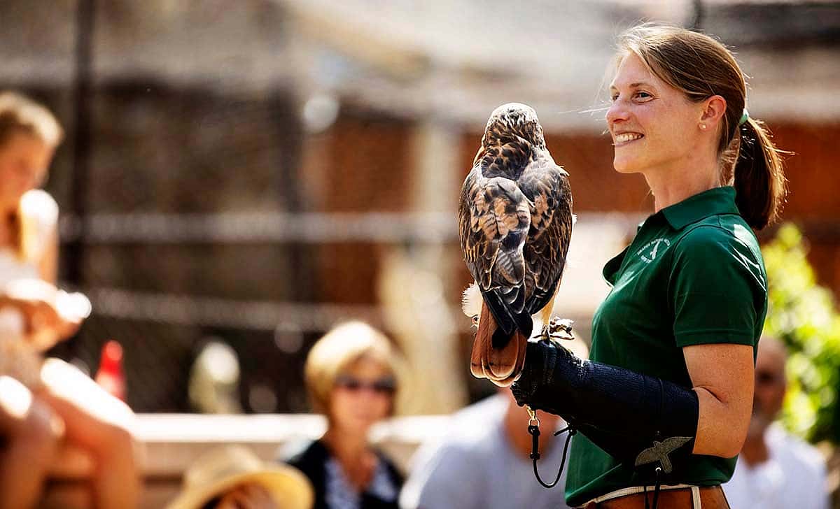 Draper Museum Raptor Experience