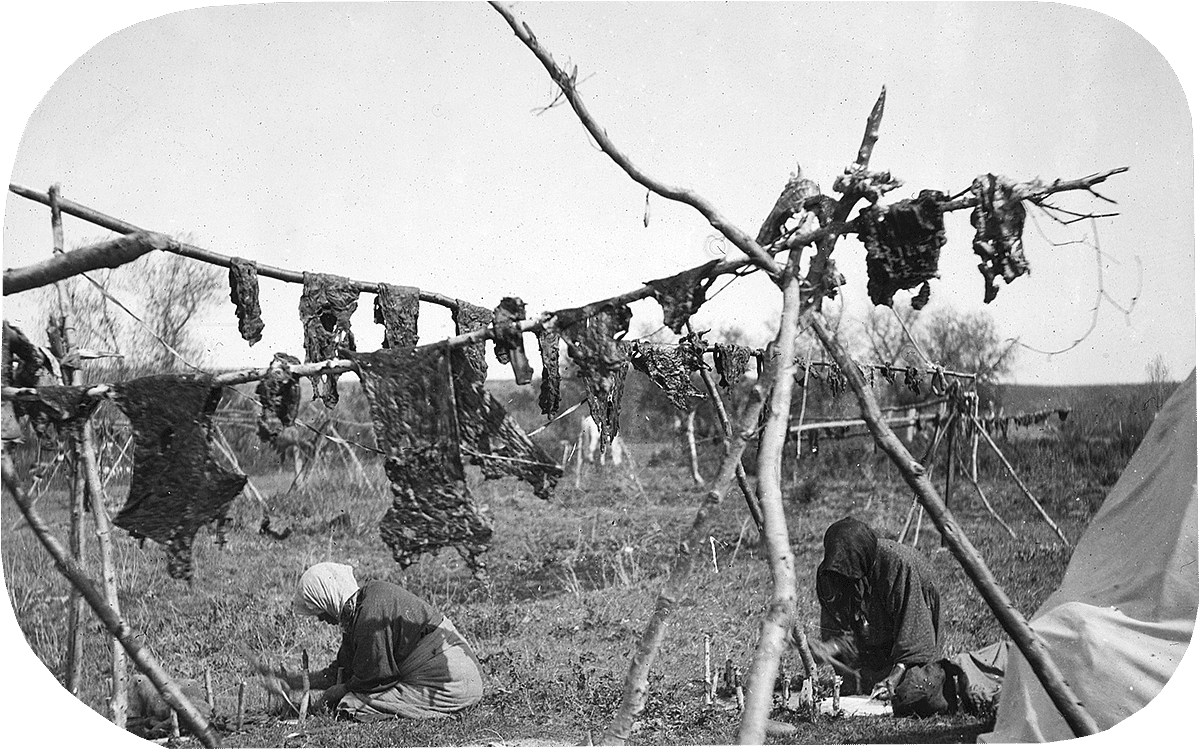 Crow women hanging meat to dry, and fleshing hides, ca. 1903-1925. MS 95 William A. Petzoldt Lantern Slide Collection. LS.95.82