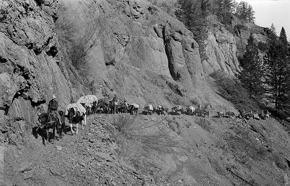 The makings of a true adventure? Max Wilde, a packstring like the one pictured, and a backcountry trail. Outfitter Les Bowman leads a packstring along Ishawooa Trail in 1953. MS 89 Jack Richard Collection. PN.89.105.20005.107