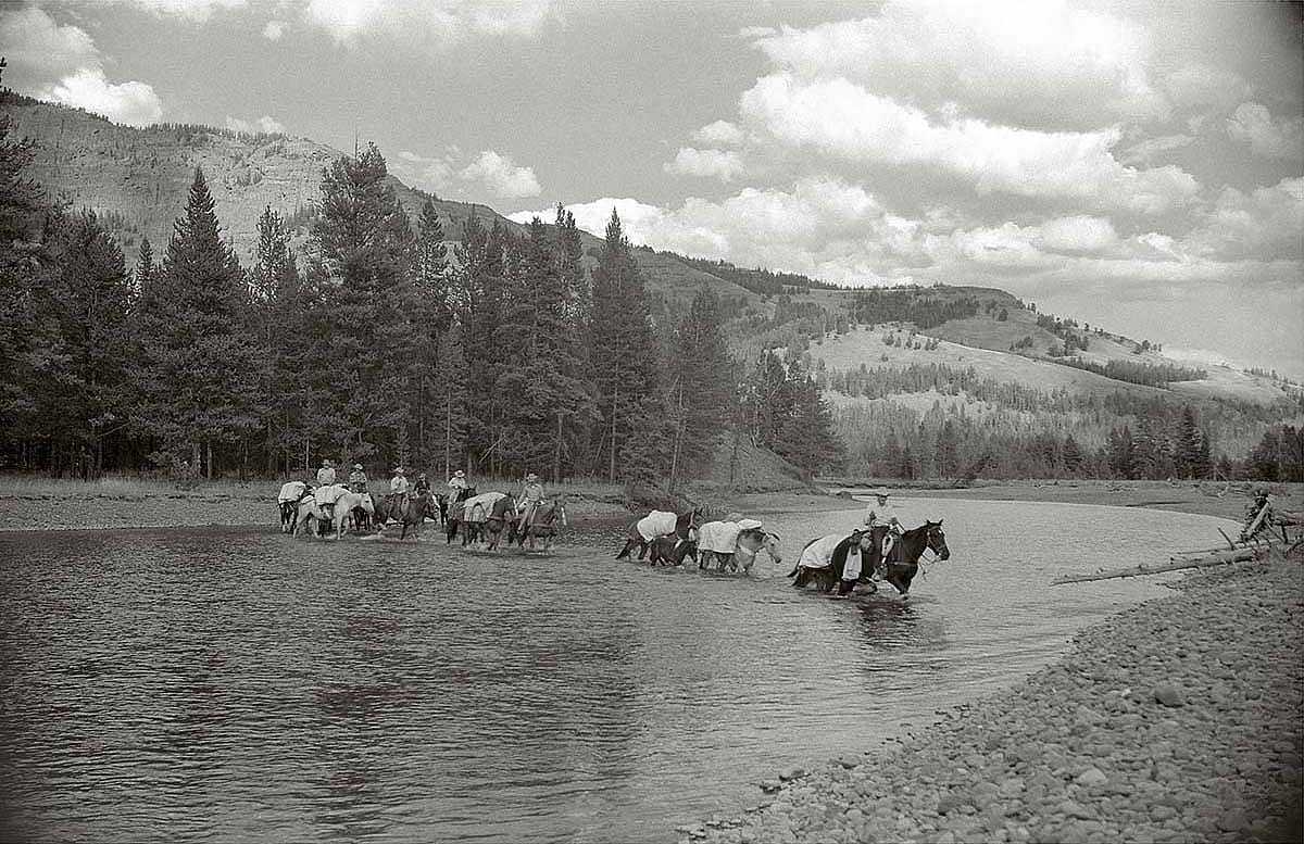 Pack string led by outfitter Les Bowman crossing the Thorofare Creek in 1953. Jack Richard photograph. MS 89 Jack Richard Photograph Collection, McCracken Research Library. PN.89.20005.12
