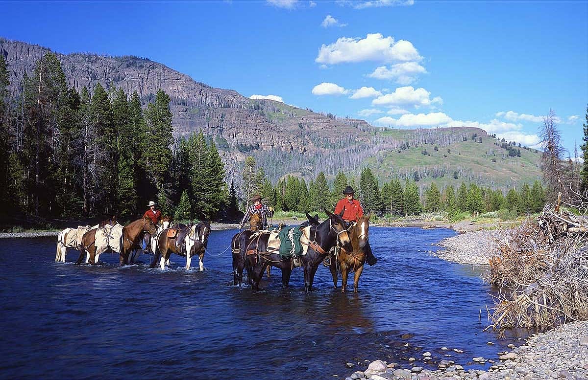 Some things change, but transportation remains the same in the Thorofare region. Here, a pack string of the Wyoming Game and Fish Department crosses Thorofare Creek in 2004. Note changes in the shape of the riverbank. (l. to r.) Mark Bruscino, Nathan Bender, and Tim Fagan. Sean Campbell photograph.