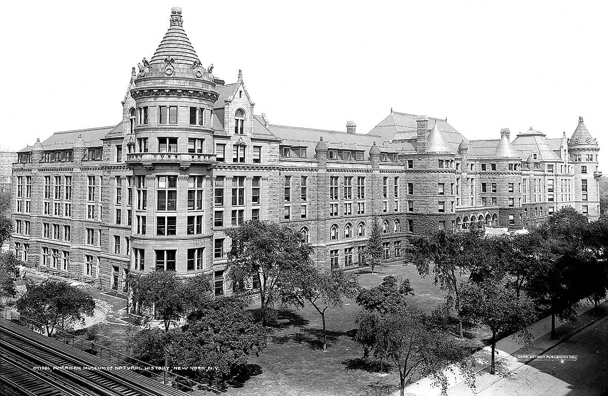 American Museum of Natural History.