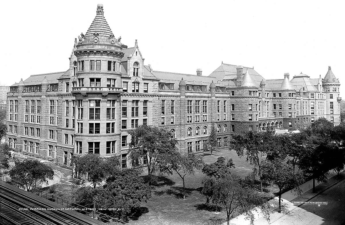 American Museum of Natural History.
