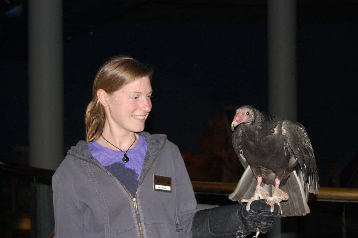 Suli and Lisa of the Draper Museum Raptor Experience