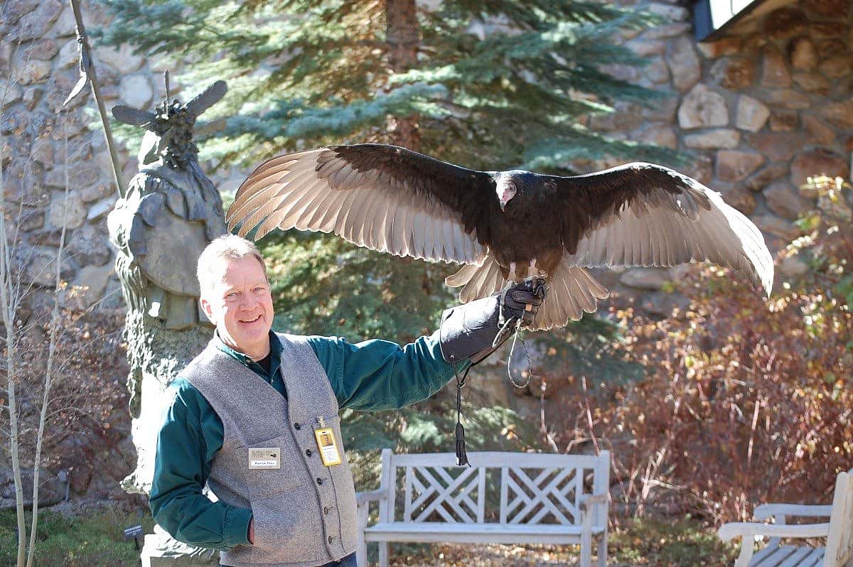 Suli the turkey vulture and Patrick