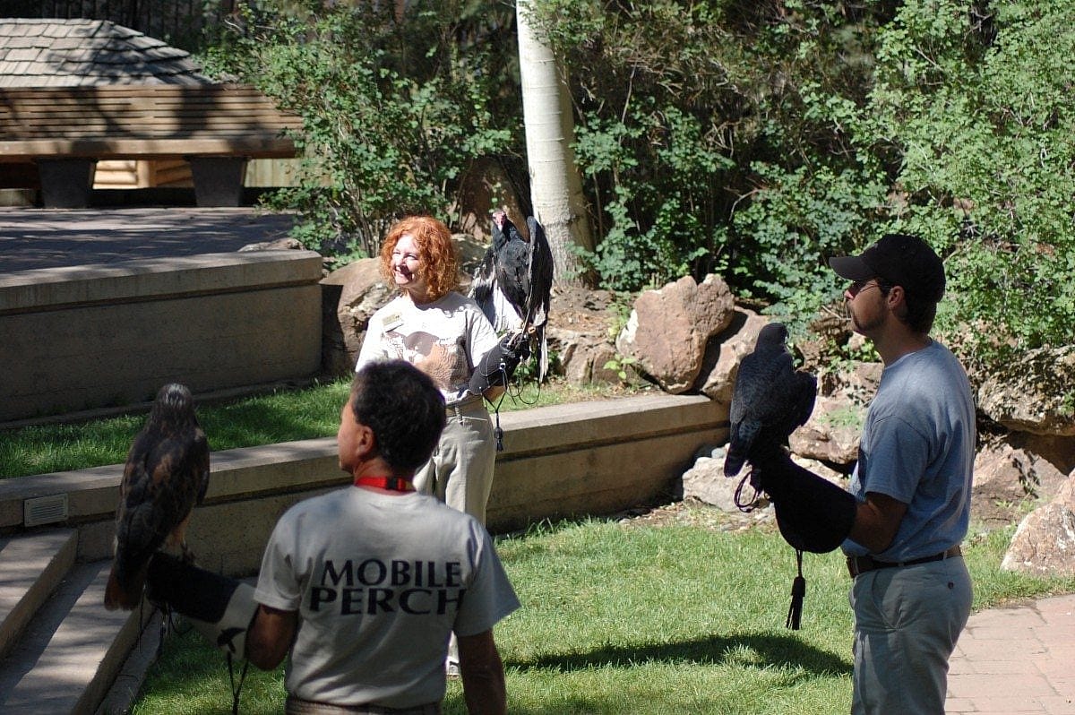Richard with Isham, Brandon with Hayabusa, and Me with Suli at the Draper Natural History Museum