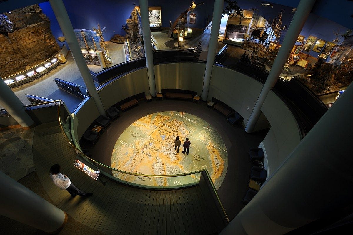 Draper Natural History Museum-01. By Chris Gimmeson