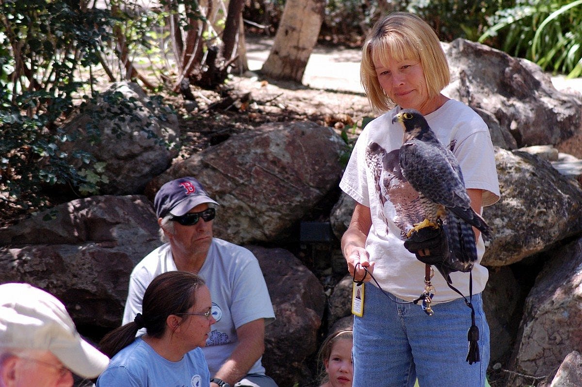 LaDaun & Hayabusa during one of last summer's programs.