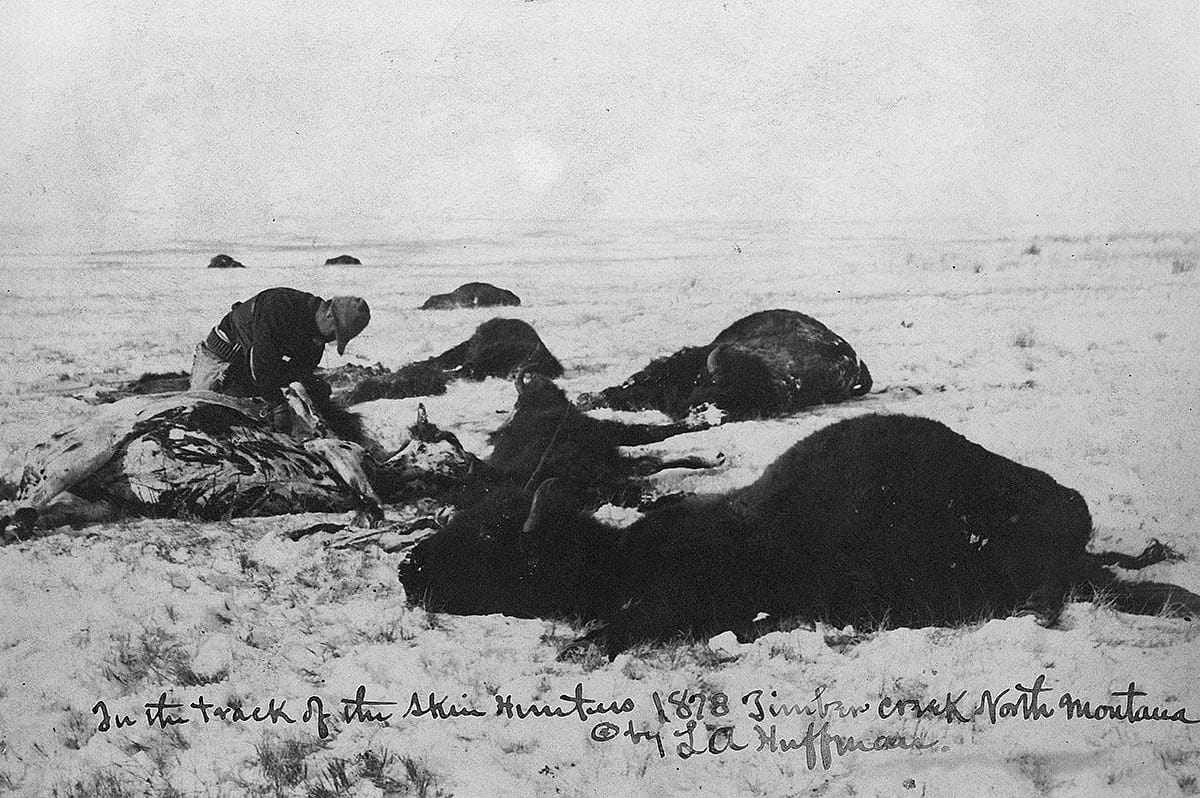 Buffalo hide hunting in northern Montana, 1878. MS 100 L.A. Huffman Collection. P.100.3104