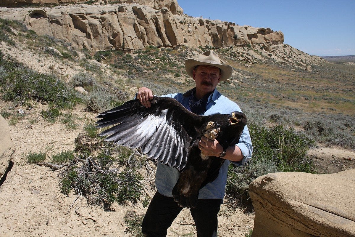 This young eagle weighed nearly 10 pounds! Photo by R. Jones