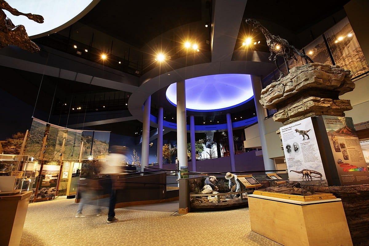 A fossil exhibit at the Draper Natural History Museum in Wyoming