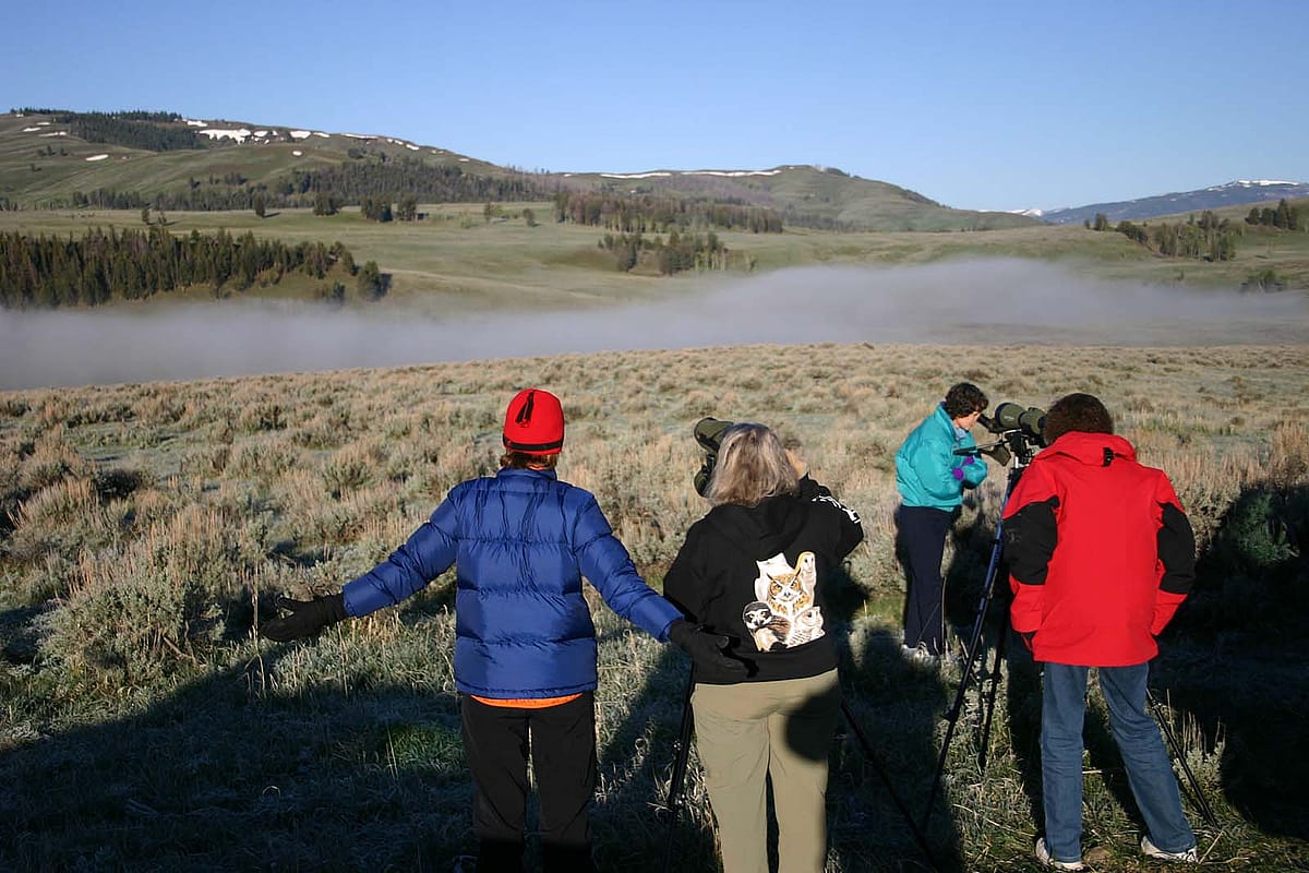 Day-trippers scan the Lamar Valley for signs of predators.