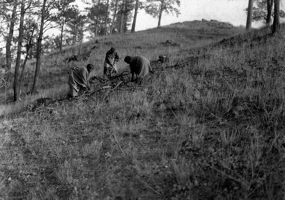 Gathering, 1902-1911. MS 37 Elizabeth C. Grinnell Collection. P.37.2.2