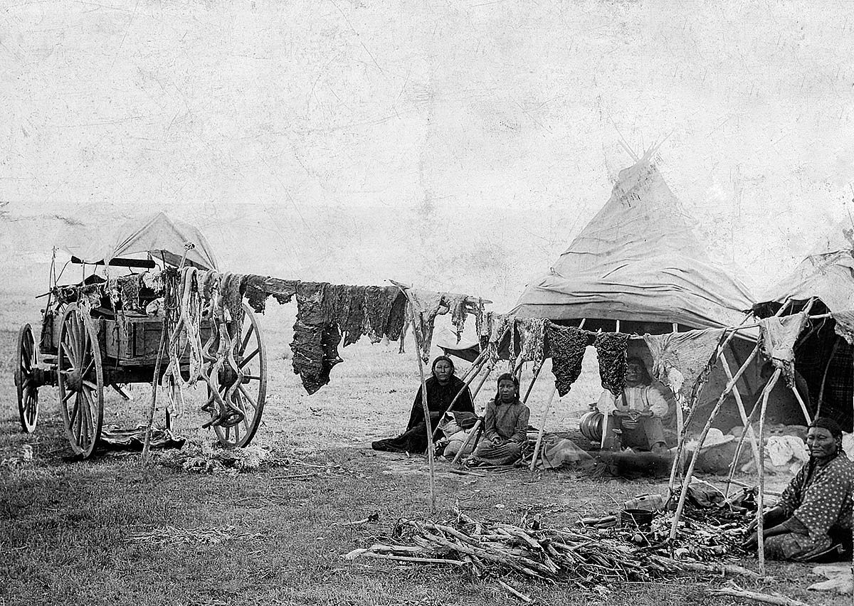 Sioux Indians drying meat while on a visit to the Crows, July 4, 1895. MS 35 North American Indian Photograph Collection. P.35.174