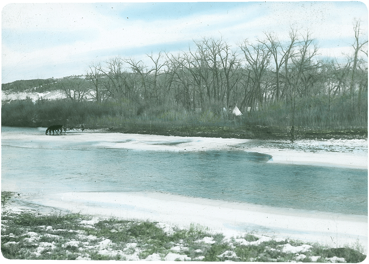 Crow tipis among trees and horse drinking from Little Bighorn River in Montana, ca. 1903-1925. MS 95 William A. Petzoldt Lantern Slide Collection. LS.95.286