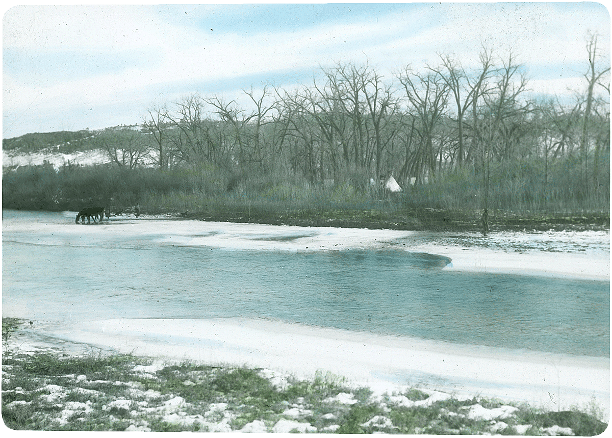 Crow tipis among trees and horse drinking from Little Bighorn River in Montana, ca. 1903-1925. MS 95 William A. Petzoldt Lantern Slide Collection. LS.95.286
