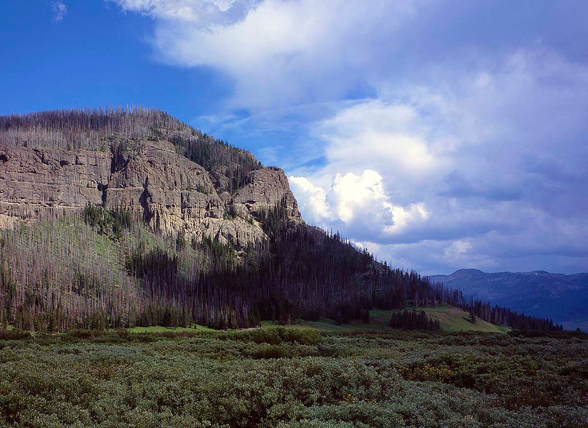Sean Campbell's version of Hawk's Rest almost 50 years to the day after the Richard photo. Note the increase of willow shrubbery on the Yellowstone River flood plain and changes in the trees at the base of Hawk's Rest.
