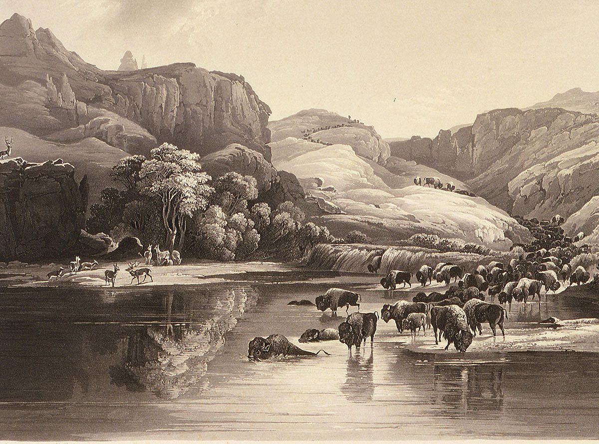 After Karl Bodmer, Herds of Bisons and Elks, 1840. Aquatint. Buffalo Bill Center of the West, Cody, WY. Gift of Clara S. Peck, 21.69.47