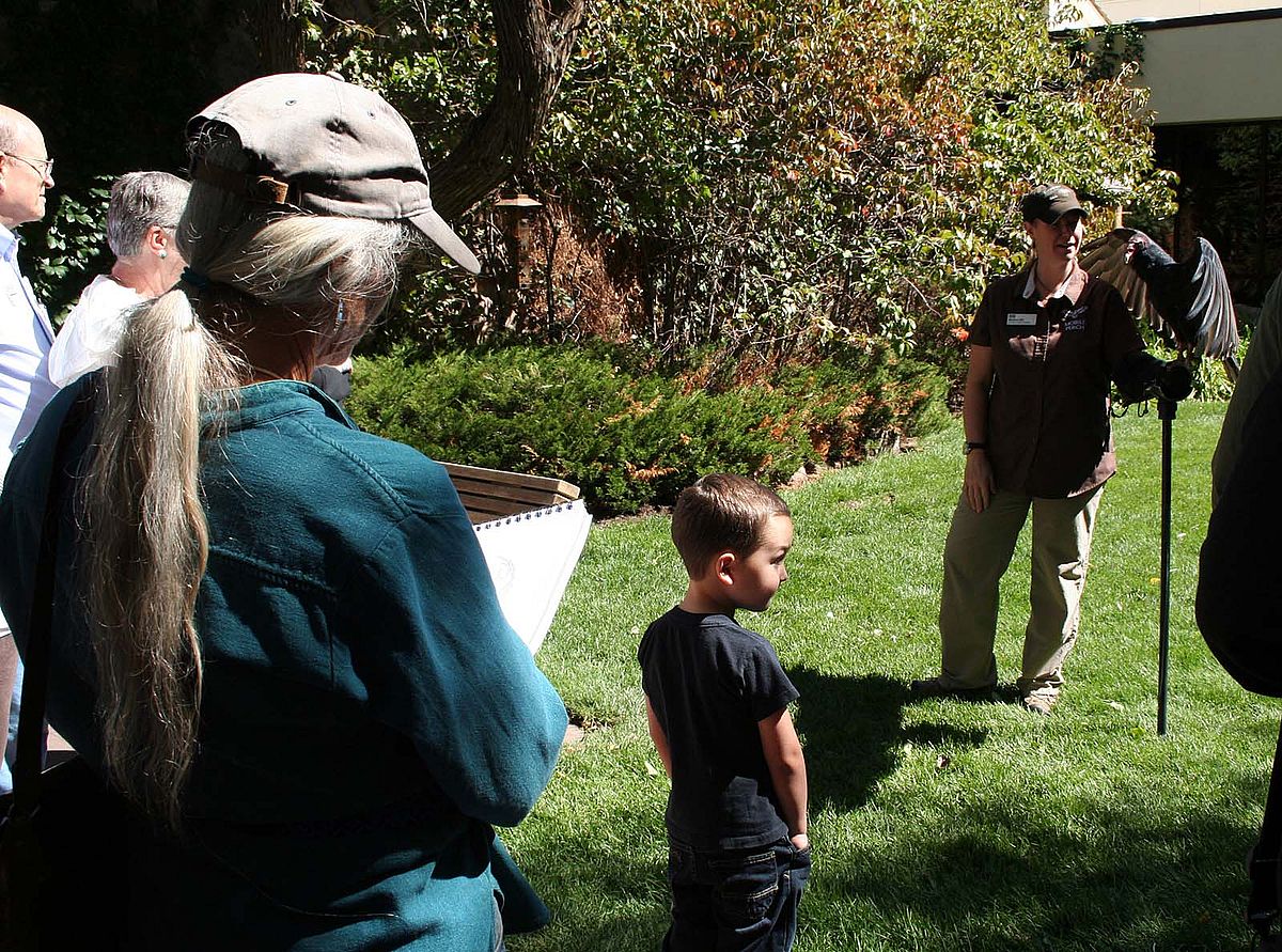 Artist Linda Raynolds sketching Suli, the Draper Museum Raptor Experience's turkey vulture.
