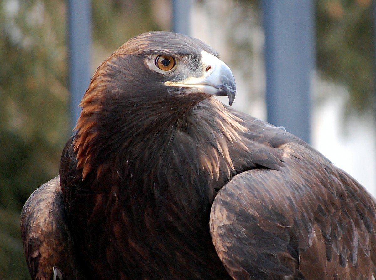 Kateri, photo by volunteer Sami Bray
