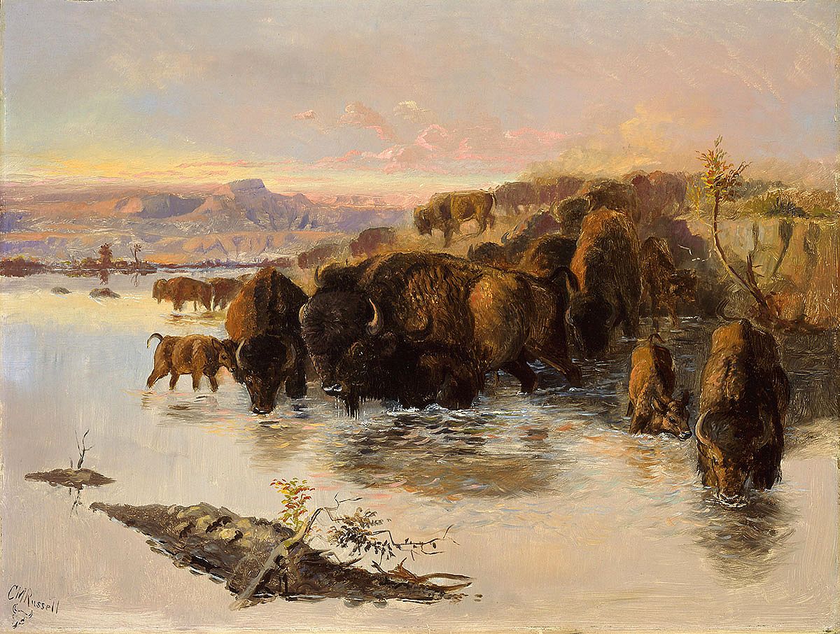 Charles M. Russell (1864-1926). "The Buffalo Herd," ca. 1890. Oil on board, 17.75 x 23.75 inches. Gift of William E. Weiss. 21.80