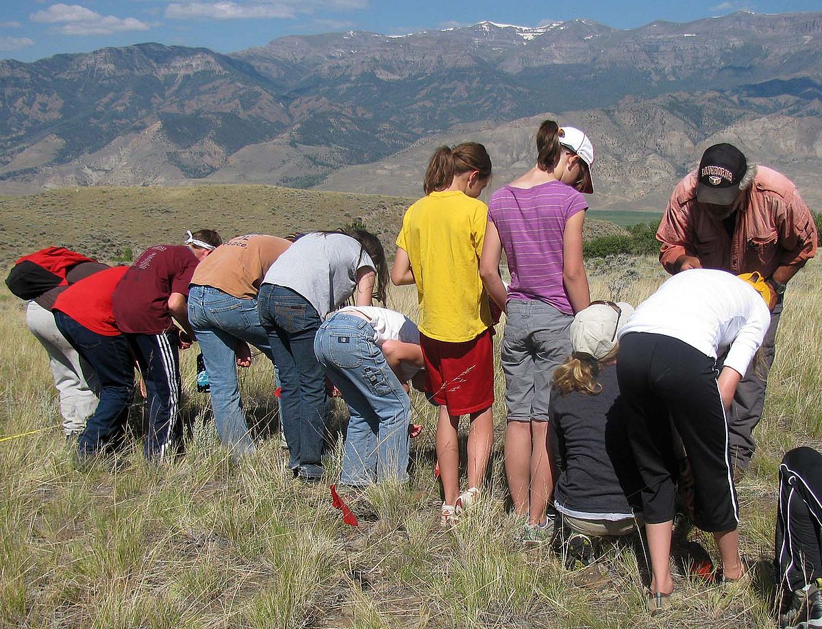 Looking for projectile points, students survey a plot with Dr. Lawrence Todd.