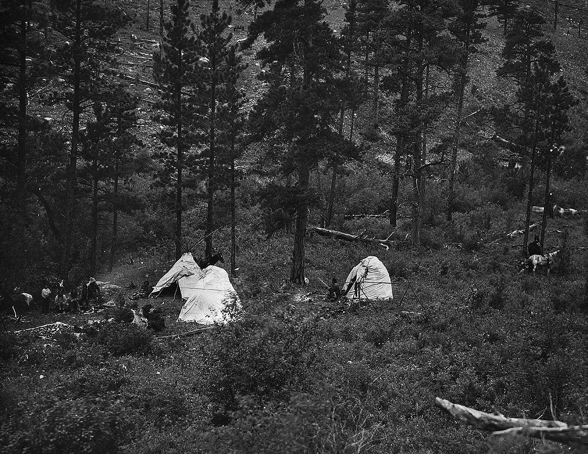 Crow people in camp with tipis and campfire among the trees, ca. 1903-1925. MS 95 William A. Petzoldt Lantern Slide Collection. LS..95.185