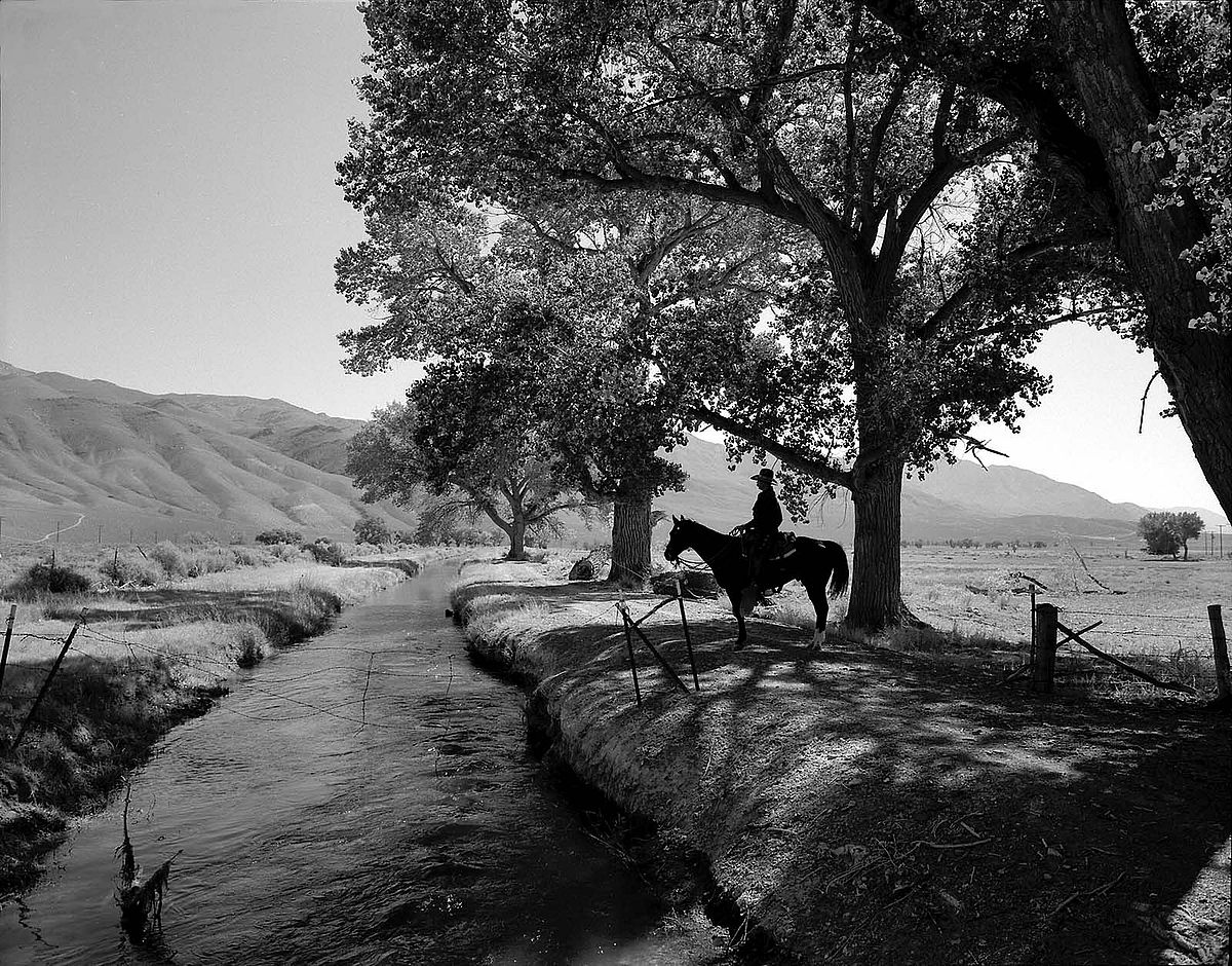 Rene Duykaerts, near Laws, Owens Valley, California 1995. Silver gelatin print by William Shepley. P.602.014
