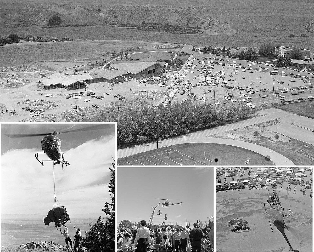 Images from MS 089 Jack Richard Photograph Collection, PN.89.49.10081, commemorating William F. Cody with buffalo statue placement in his honor on Cedar Mountain, Cody, Wyoming, July 4, 1968. Clockwise from top: Aerial view of Buffalo Bill Historical Center - note buffalo encircled by vehicles, awaiting transport (.144); helicopter readies for pick up (.59); liftoff (.61); and landing (.54).