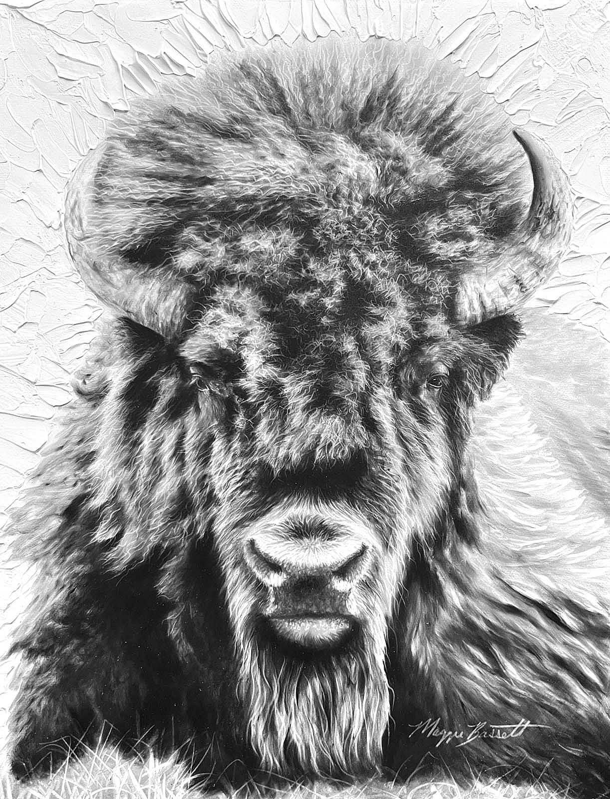 Bison artwork in charcoal. By Maggie Bassett.