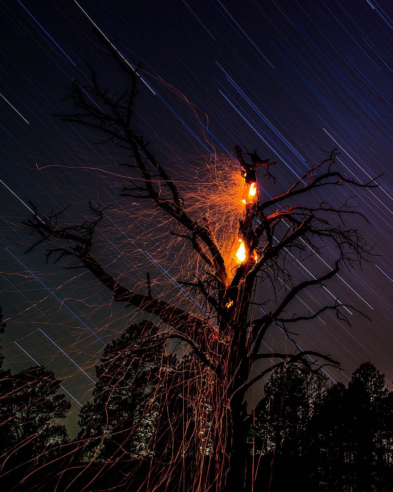 In a long exposure featuring a burning tree, ember trails and star trails are visible.