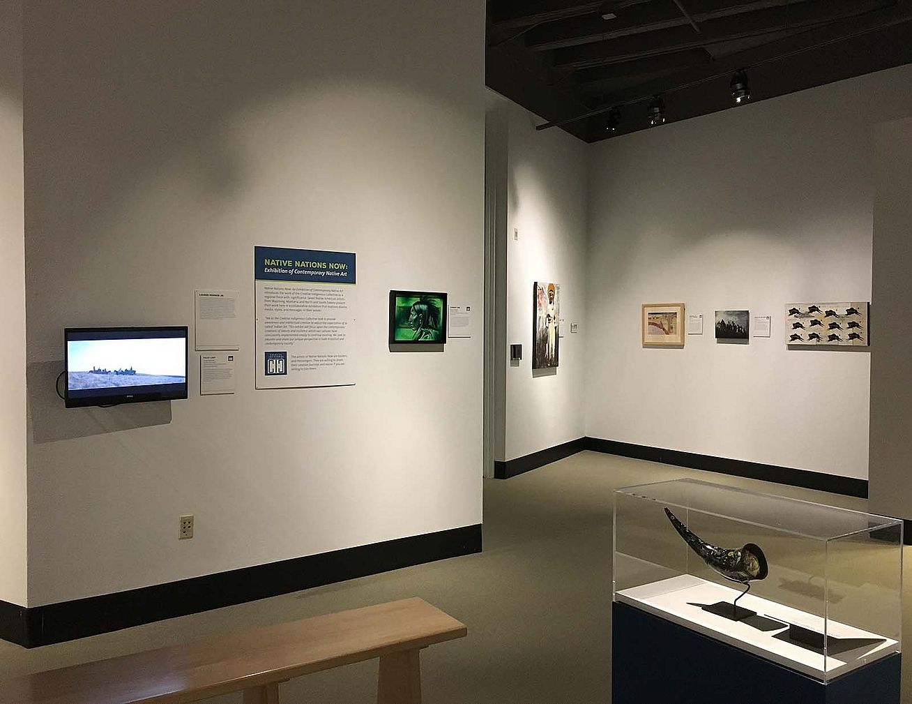 Native Nations Now exhibition