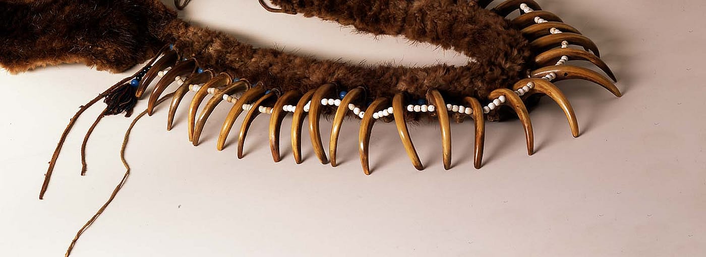 Grizzly bear claw necklace. Paul Dyck Plains Indian Buffalo Culture Collection. Acquired through the generosity of the Dyck family and additional gifts of the Nielson Family and the Estate of Margaret S. Coe. NA.203.1413