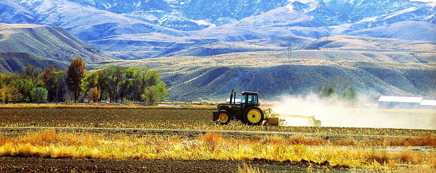 Tractor in the fields in springtime. (detail)