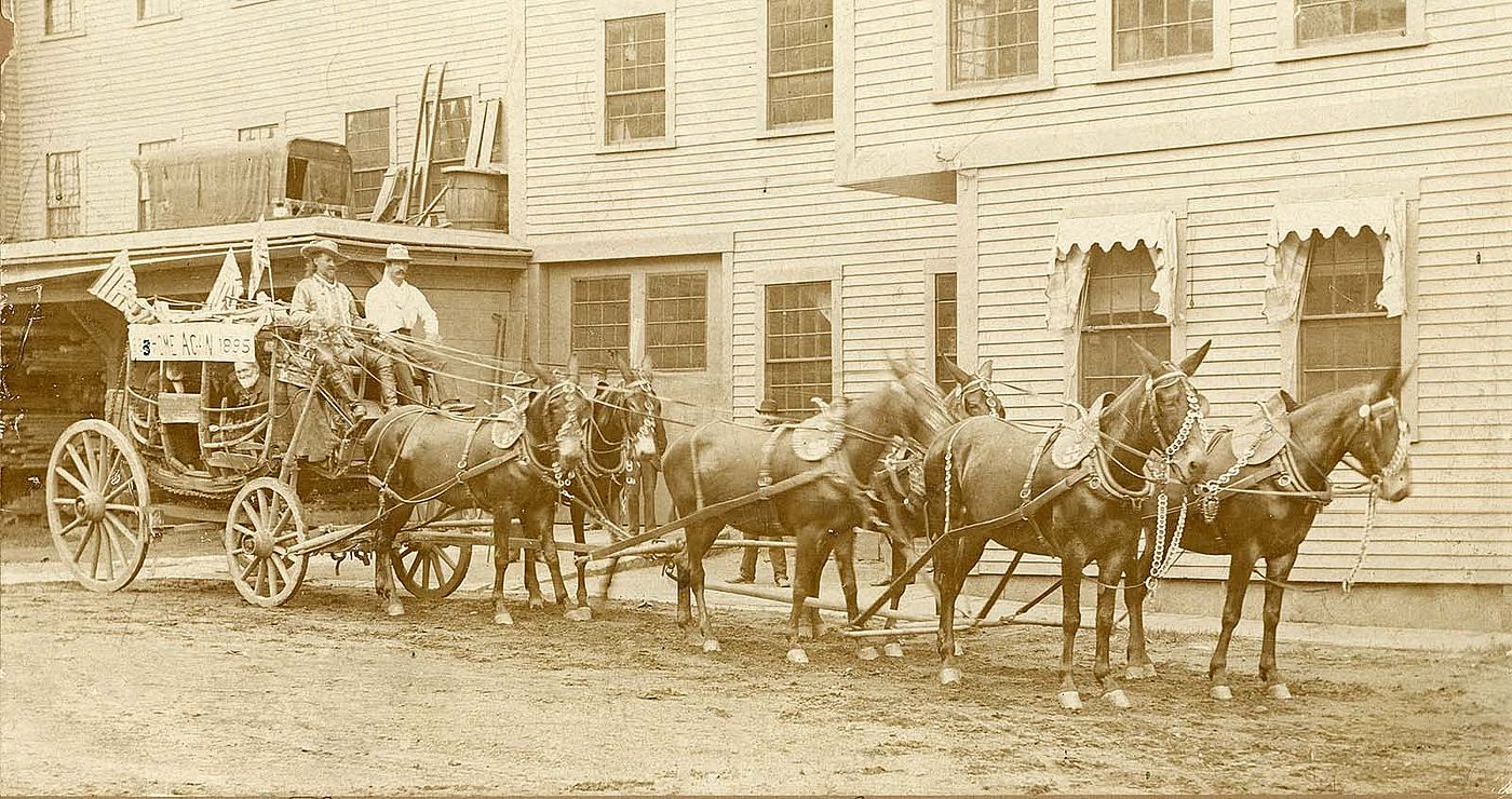 William F. Cody driving a stagecoach in 1895. MS 6 William F. Cody Collection, McCracken Research Library. P.6.0511