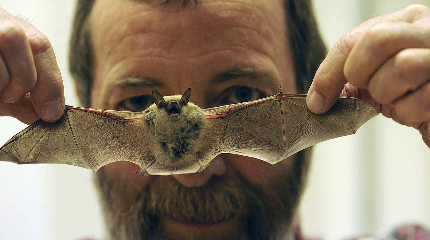 Philip McClinton and a California myotis rescued from the Center of the West in 2008. (detail)